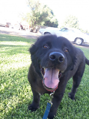 Photo of Ranger 