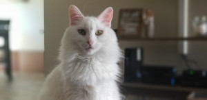 Photo of Claire