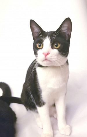 Photo of Bruce Wayne