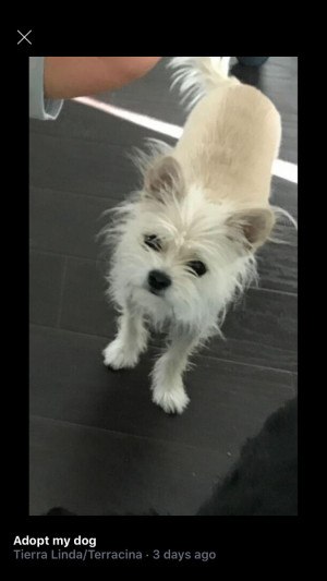 Photo of Bella