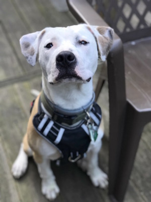 Photo of Ghost