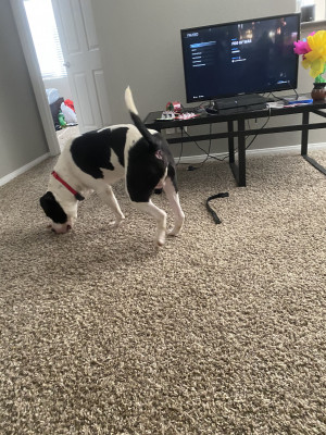 Photo of Kratos