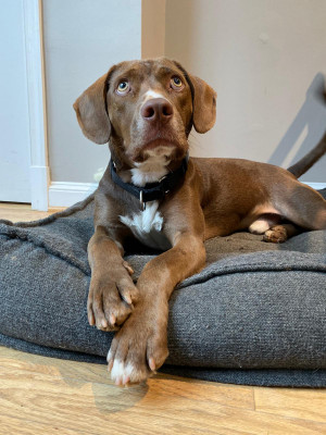 Photo of Polo