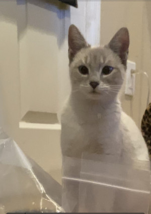 Photo of Sophie