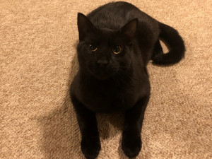 Photo of Max