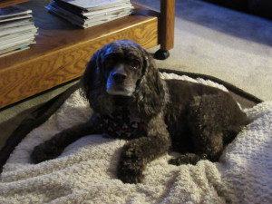 Photo of Reba