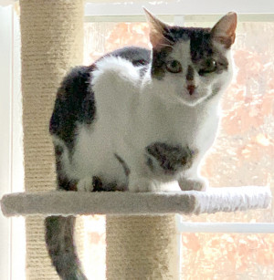 Photo of Carly