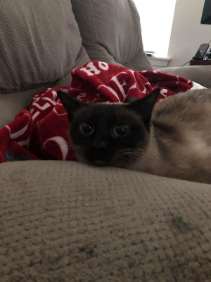 Photo of Jesse