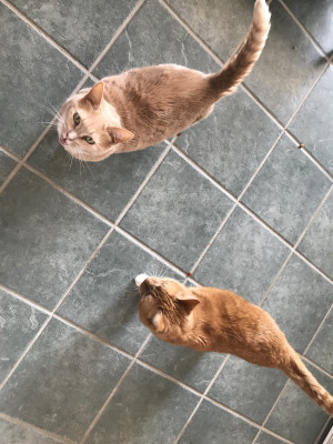 Photo of Sandy And Patrick