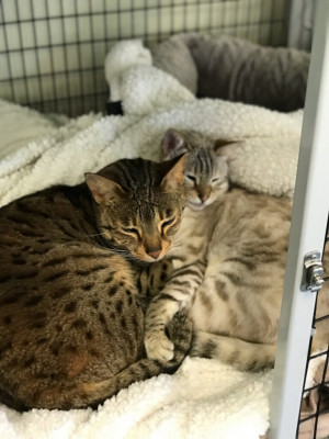 Photo of Benny & Aurora