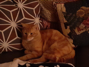 Photo of Jack