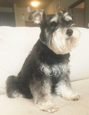 Photo of Jacques 