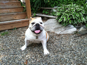 Photo of Sasha