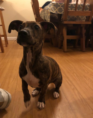 Photo of Chuy