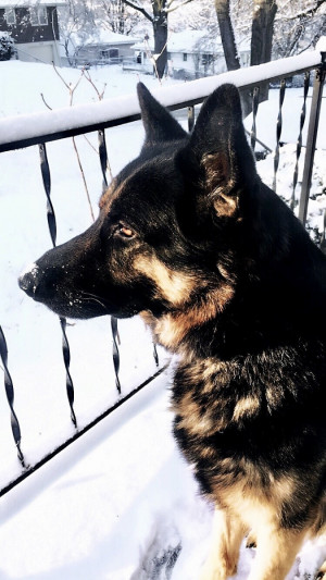 Photo of Zeus