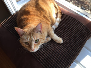 Photo of Teeka