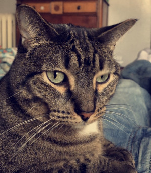 Photo of Leo