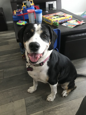 Photo of Annabelle