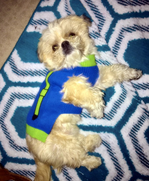 Photo of Chan-Chan