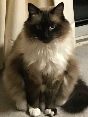 Photo of Murphy