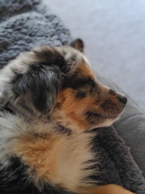 Photo of Hugo