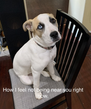 Photo of Roxy