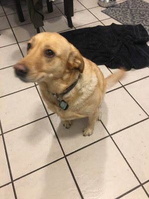 Photo of Ruby