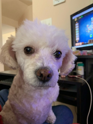 Photo of Zoe