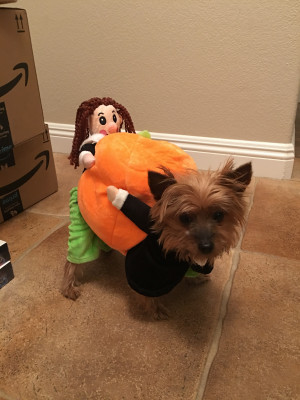 Photo of Sophia
