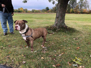 Photo of Tuco