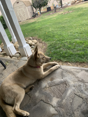 Photo of Isabella