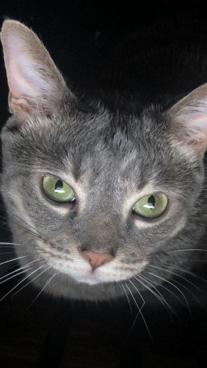Photo of Mina