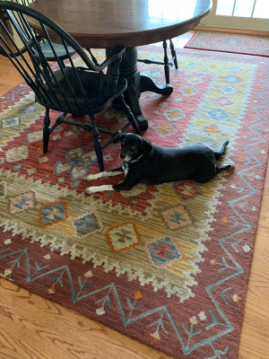 Photo of Lilly