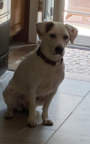 Photo of Chloe 