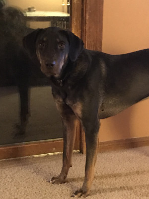 Photo of Brody