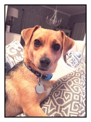 Photo of Bayou