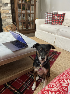 Photo of Riley