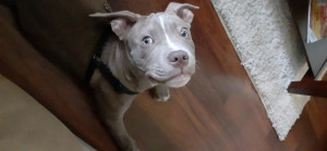 Photo of Charlie Brown
