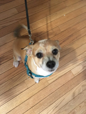Photo of Chase