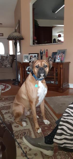 Photo of Duke