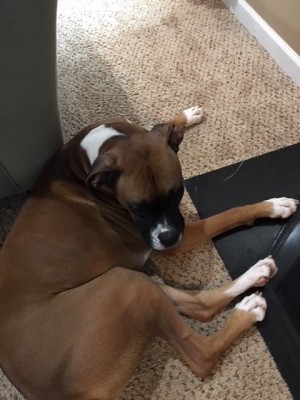 Photo of Oakley