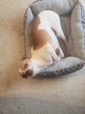 Photo of Samby