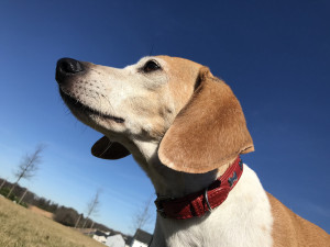 Photo of Puzzle 