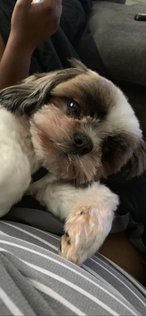Photo of Maxx