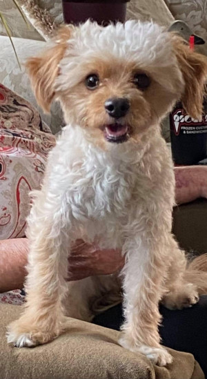 Photo of Max