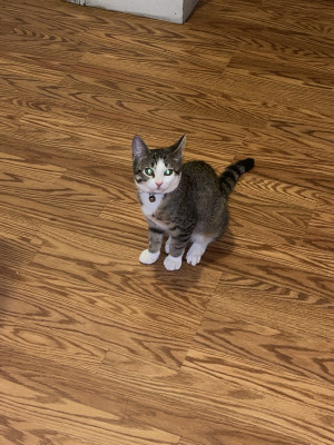 Photo of Mila