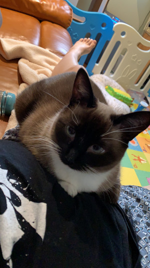 Photo of Pearl