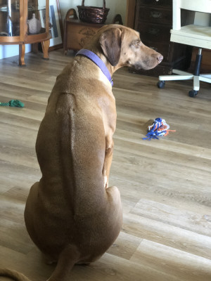 Photo of Lady 
