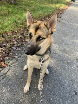 Photo of Kaia