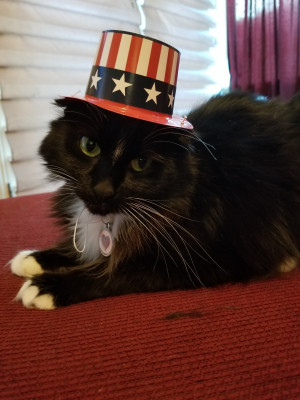 Photo of Lola